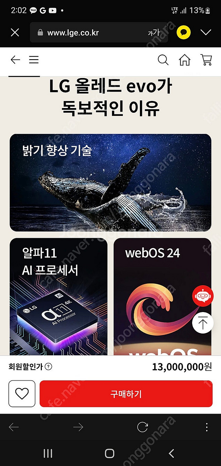 2024 LG 83인치 올레드 TV EVO 최고사양 O...--2