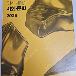 2025최적 기선제압 정치와법.사회문화