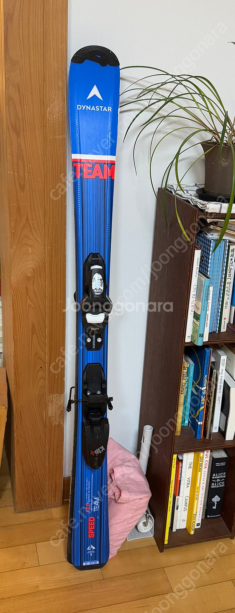 다이나스타 주니어 아동 스키 플레이트 DYNASTAR TEAM SPEED+KID 4--2