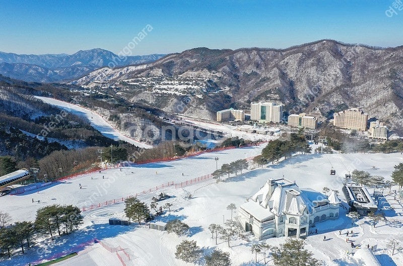 [홍천] 12/14,21,28일 소노펠리체(스키+조식+...--0