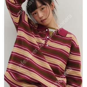 온무드 own stripe collar knit plum