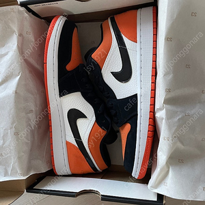 Jordan 1 Low Shattered Backboard 에어조던 1 로우 쉐터드 백보드