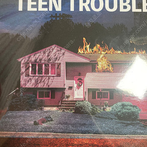 검정치마 TEEN TROUBLES LP 새상품 판매!!