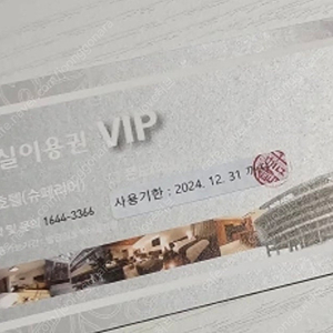 인제 스피디움 객실이용권 vip