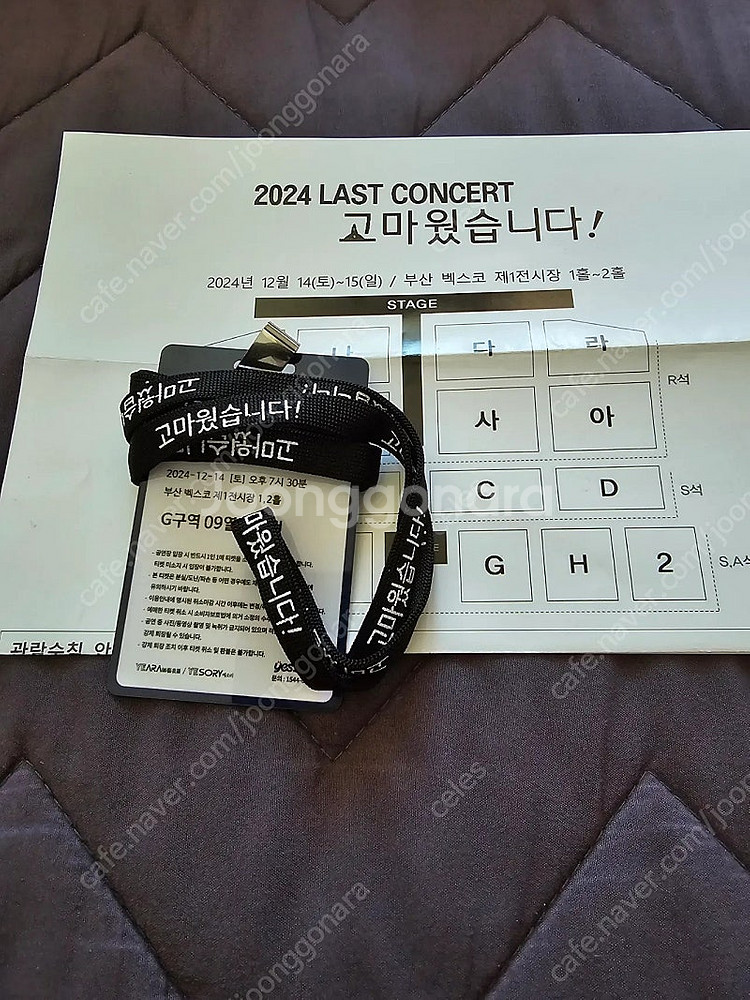 나훈아 2024 부산 콘서트--0