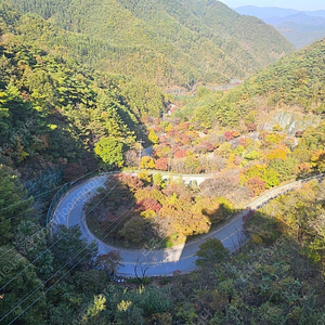 대명리조트 (삼척.양양.홍천비발디)12월 24