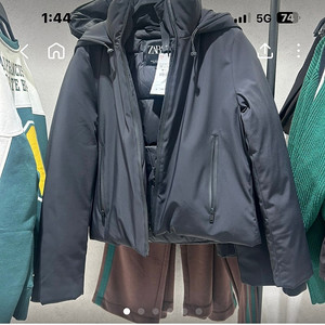 자라 패딩 크롭패딩 zara