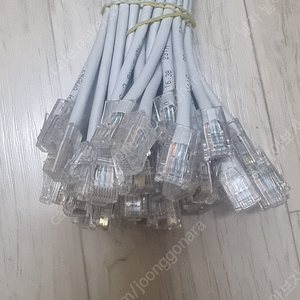 RJ45패치 230mm