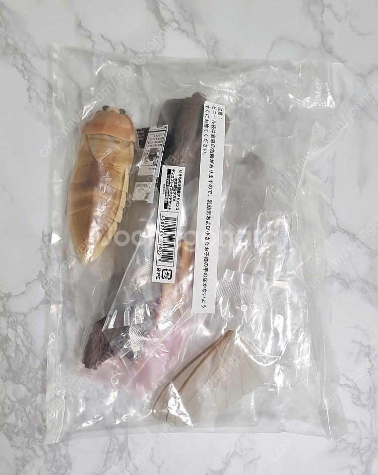 반다이 생물대도감 온라인 물장군(우화직후)-택포--0