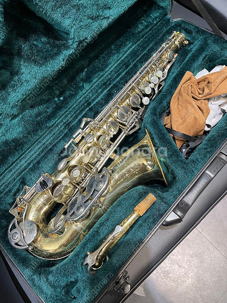 번디2 셀마 알토 색소폰--2