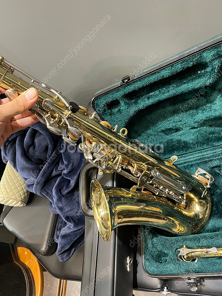 번디2 셀마 알토 색소폰--4