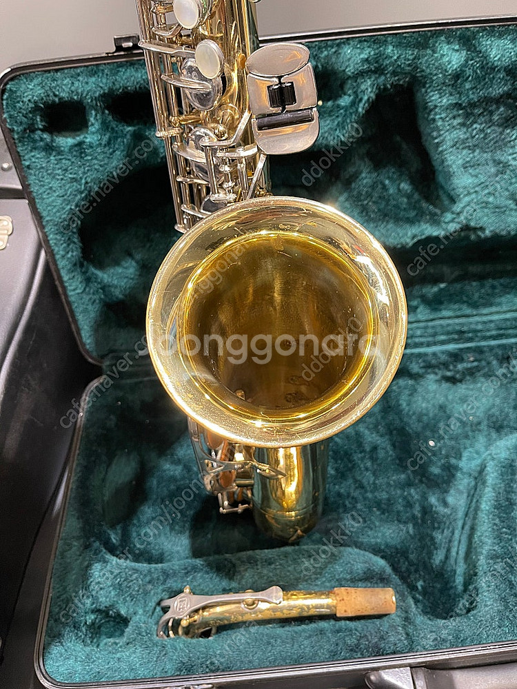 번디2 셀마 알토 색소폰--5