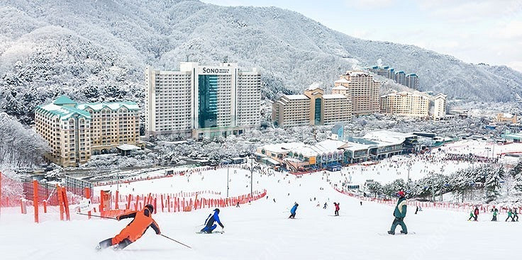 [홍천비발디] 12/14,21,28일 (스키+조식+오션...--0