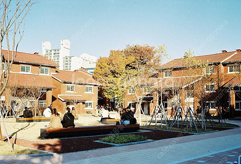 캐논 캐노넷QL17 과 캐논 플레시 세트--7
