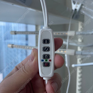 물조리개, 식물등 판매.