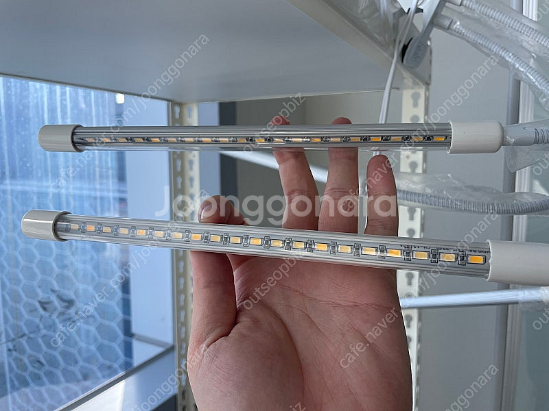 물조리개, 식물등 판매.--3