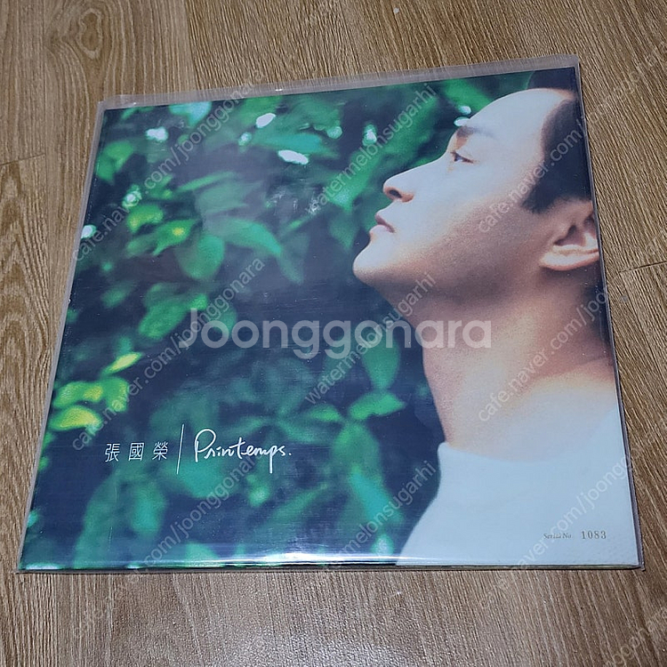 장국영 왕가위 바이닐 lp 엘피 앨피--3