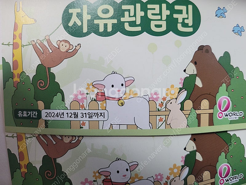 대전오월드 자유이용권팝니다--1