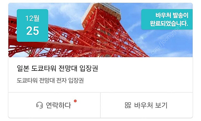 일본 도쿄타워 전망대 25일 (대인2)--0