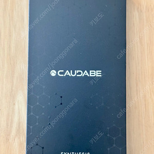 CAUDABE SYNTHSIS 아이폰 iPhone 16 MAX 블랙 케이스 미개봉