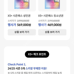 스키 X5 시즌권 성인 1장