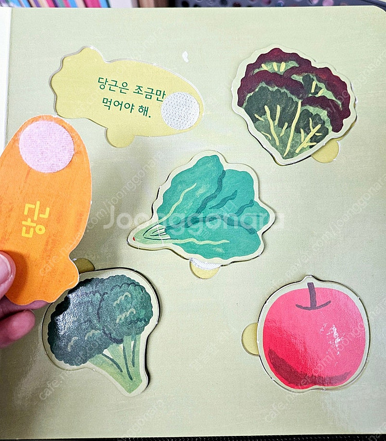 그레이트북스 놀라운자연 최신개정판--3