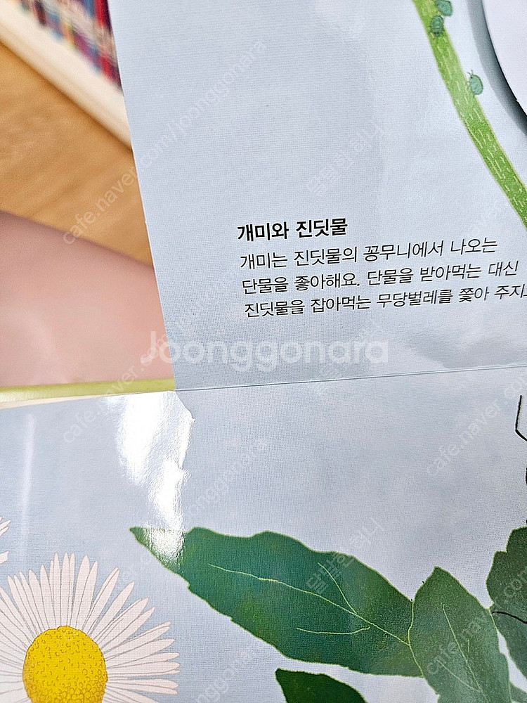 그레이트북스 놀라운자연 최신개정판--6