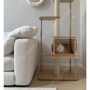 미개봉새상품 Like noah oak cat tree (라이크노아 오크 캣타워)