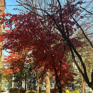 어반자카파 수원 12.25 2명 삽니다 (가격맞춰드림)