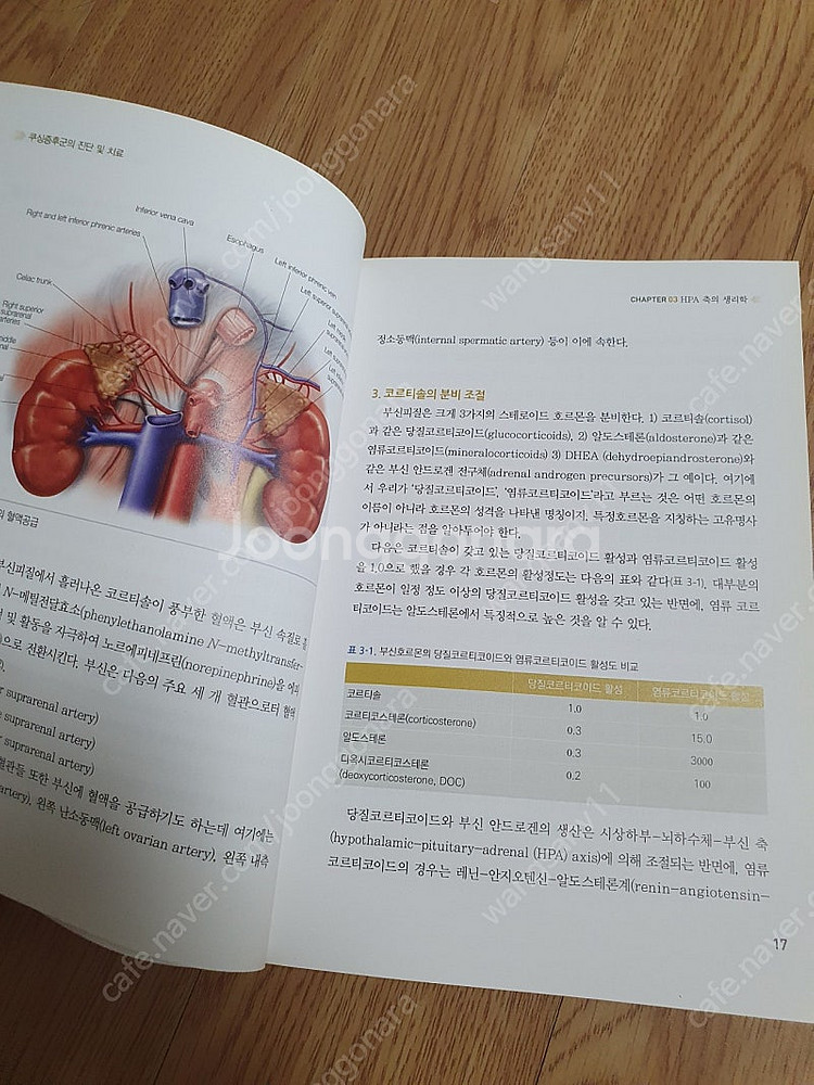 책)쿠싱증후군의 진단및 치료--5