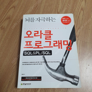 책)오라클 프로그래밍