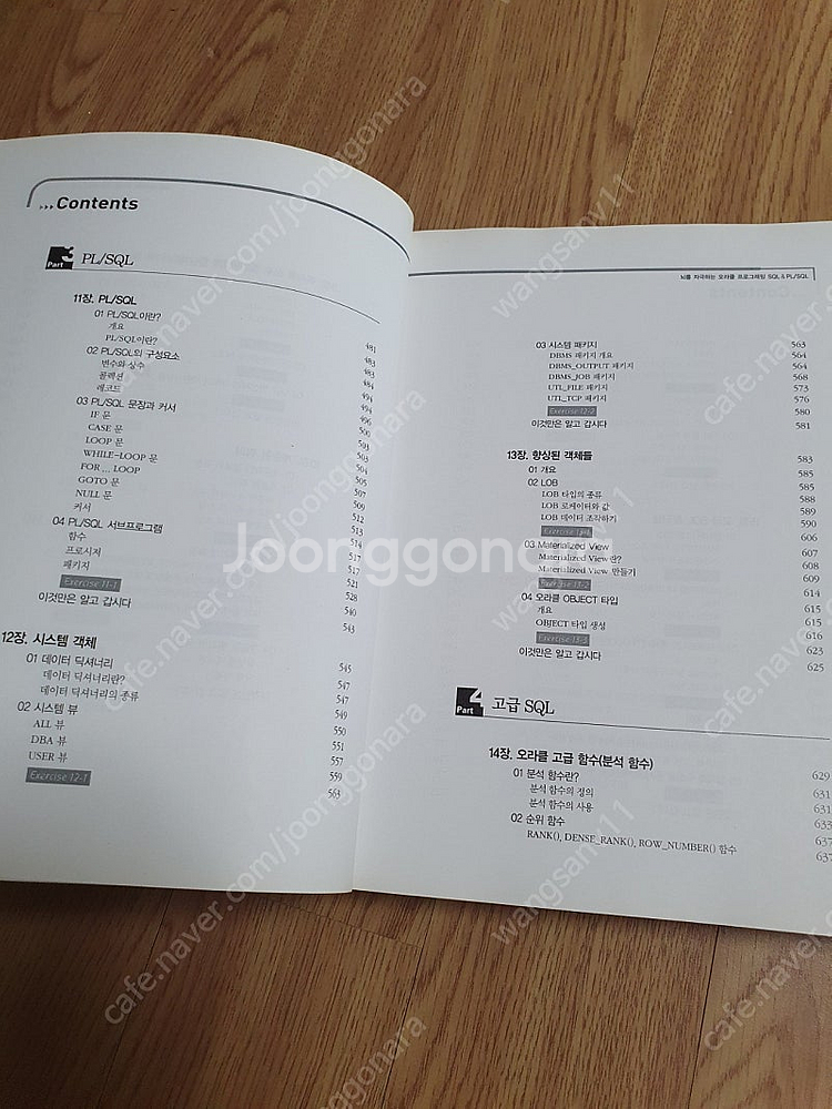 책)오라클 프로그래밍--3