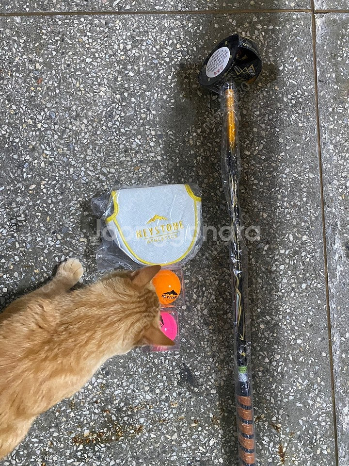 키스톤 파크골프 MK-GOLD 국내생산 파크골프채 무료 A/S 엠케이골드--3