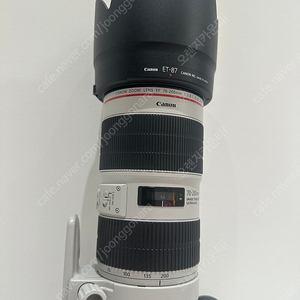 EF70-200mm F2.8 L IS III USM 새새아빠백통