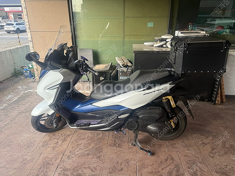 포르자 300cc--2