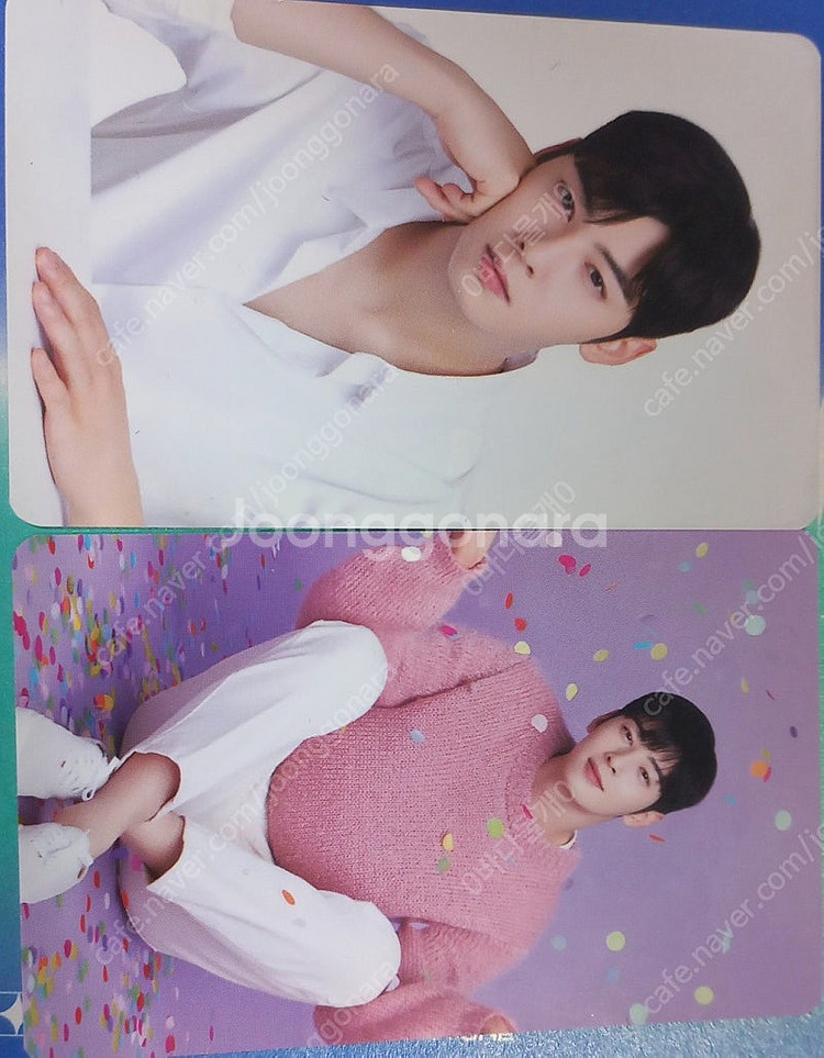 차은우 누나홀닭 포카 두개 팝니다(트와이스 스티커도 같...--0