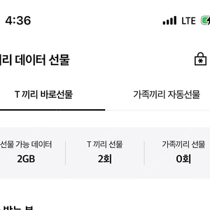 Skt 1gb 2개 3000원