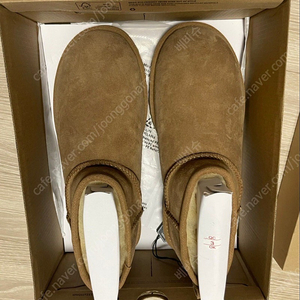 Ugg 미국어그 울트라미니 체스트넛 250 8w