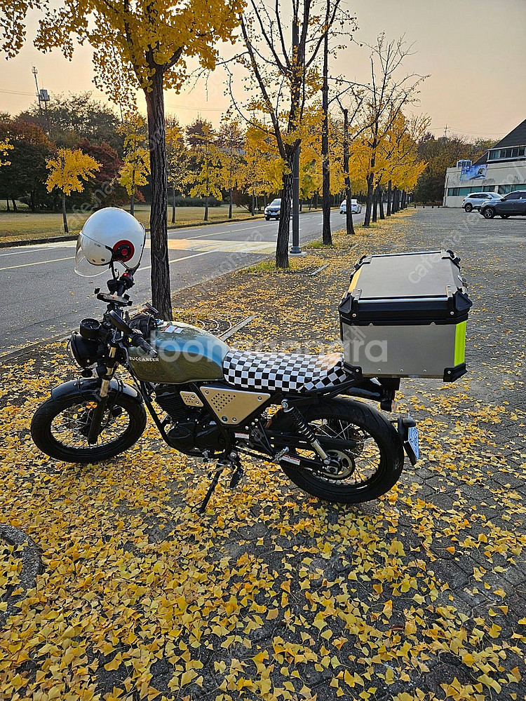 부케너125--0