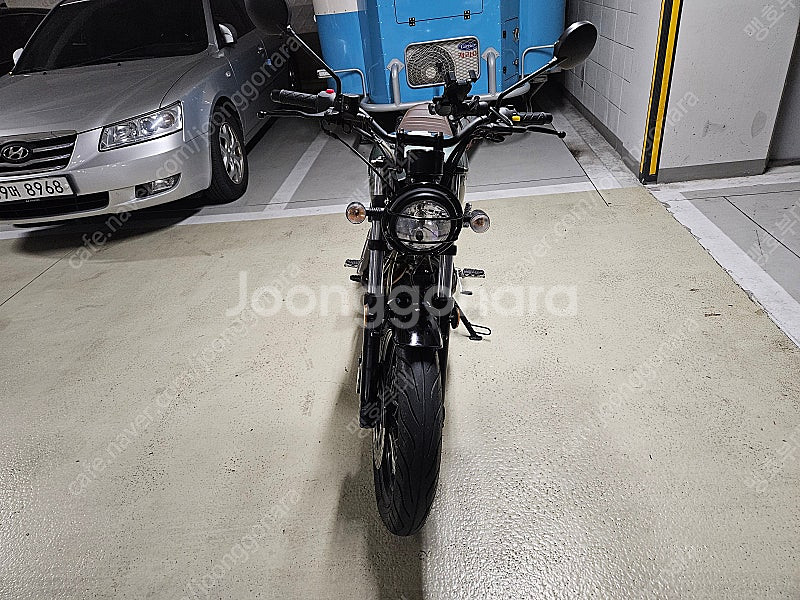 부케너125--9