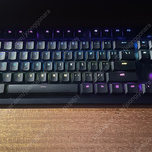 레이저 데스스토커 V2 PRO TKL 영문자판