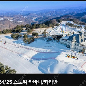 홍천 비발디파크 스노위랜드 카바나 6인실 (24.12.25) - 판매