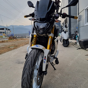 BMWG310R