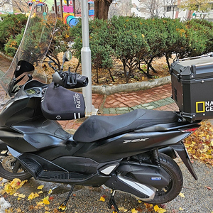 pcx125 24년식 9083km 판매