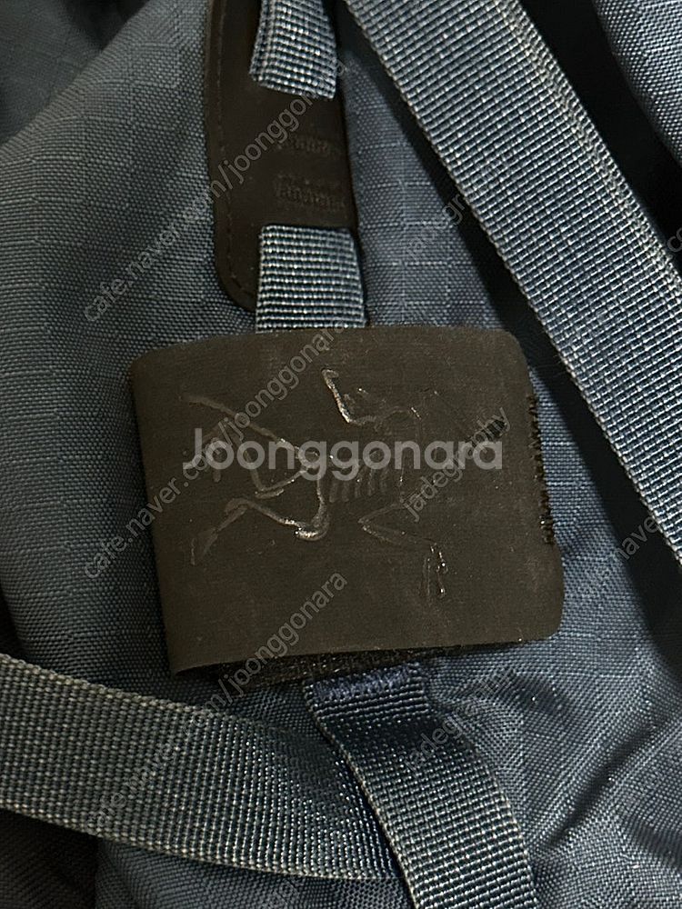 아크테릭스 보라 80--6