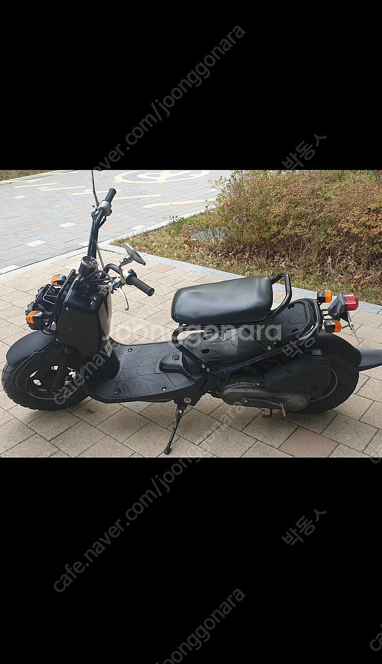 50cc 줌머--1