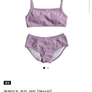 드니즈 폴웨어 골지연보라세트