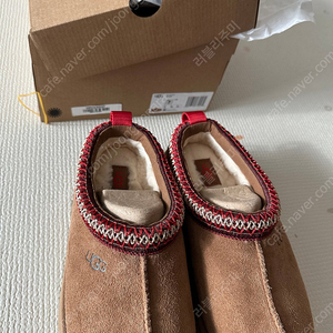 UGG TAZZ W 240 공식 신세계 정품