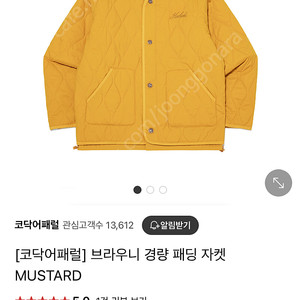 코닥어페럴 경량 패딩 m (택포)