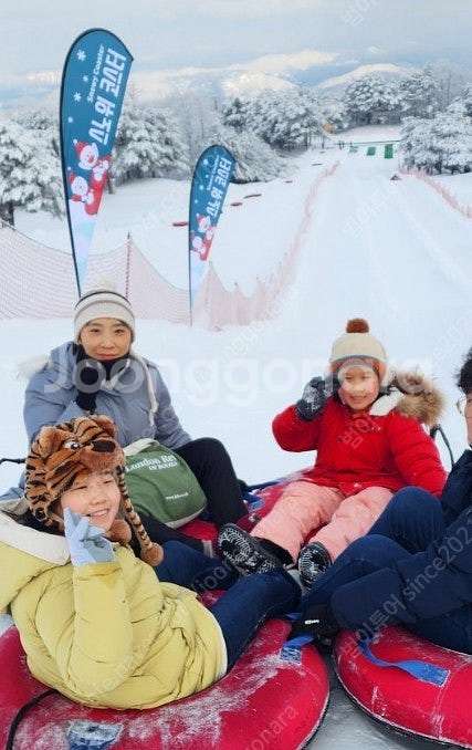 스노위랜드*홍천비발디파크~리프트권-장비렌탈~용평~휘닉스...--0